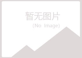 安图县新波化学有限公司